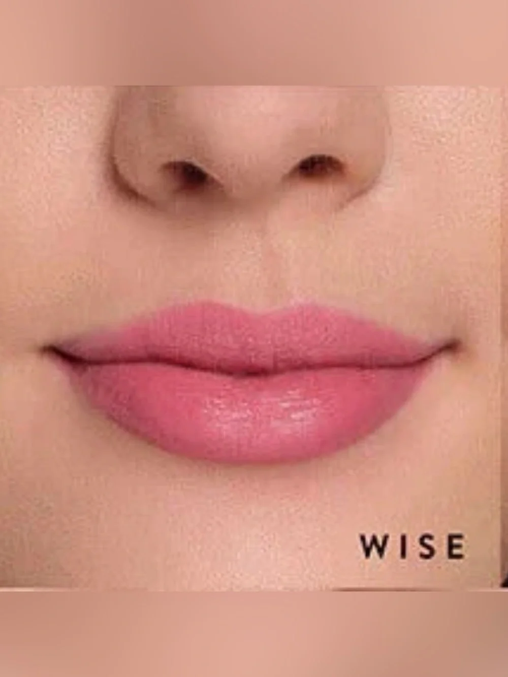 Laura Geller Smart Pout Transfer-Proof Lipstick - Wise